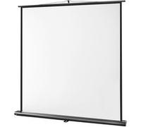 celexon Écran de projection portable Pull‑Up 65" Ultramobile – 120×120 cm 1:1 – 8K – poignée & mât