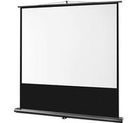 Ecran de projection celexon Ultramobile PRO 160 x 120 cm