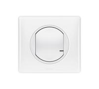 Celiane avec connecteur radio éclairage et NETATMO 067723
