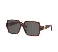 Celine Femme Sunglass Triomphe CL40316U - Couleur du Monture: Écaille de tortue Noir, Couleur de Lentille: Gris