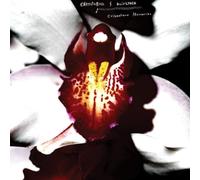 Cellophane Memories - Vinyle Jaune