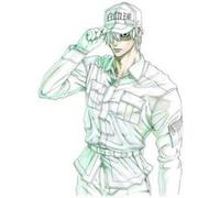 Cells At Work! 6 - [Version Originale] Akane Shimizu (Auteur)