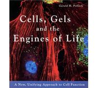 Cells, Gels and the Engines of Life: A New, Unifying Approach to Cell Function