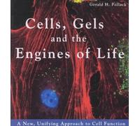 Cells, Gels and the Engines of Life: A New, Unifying Approach to Cell Function