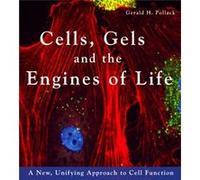 Cells, Gels and the Engines of Life: A New, Unifying Approach to Cell Function