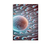 Cellular Fertilization Canvas Art, Sperm and Egg Meeting Scientific Poster, Modern Wall Decor for Lab & Office (Framed,16x24inch(40x60cm))