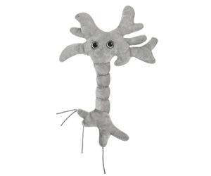 Cellule du cerveau en peluche GIANTmicrobes - Découvrez les neurosciences grâce à cet irrésistible neurone en peluche, cadeau éducatif amusant pour la famille, les amis, les scientifiques, les étudiants, les médecins, les docteurs en neurosciences et les fans de psychologie