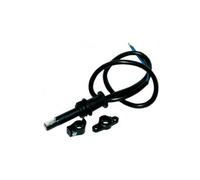 Cellule Siemens (Landis) QRB1B A048B70B