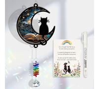 CELSORIX Cadeau commémoratif pour chat à faire soi-même pour la perte de chat avec carte de condoléances, cadeau commémoratif pour chat, cadeau pour animal de compagnie, décoration souvenir pour les