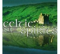 CELTIC SPIRITS VOL.7 SAMPLER 2 CD MIT ENYA UVM NEW