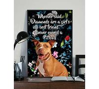 Celui qui a dit que les diamants étaient les meilleurs amis d'une fille n'a jamais possédé de chien Pitbull Affiche Vintage Métal Étain Signe Décor Cadeaux pour Filles Décorations de Salon Plaque en m