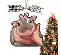 Celuicion Adorable Hippopotame - Décoration de en Acrylique 2D - Décoration d'intérieur pour dortoir, Chambre à Coucher, Salon, école, Bureau, Voiture, Thanksgiving, Anniversaire, Appartement