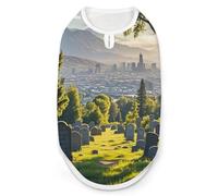 Cemetery Outside The City Chemise pour chien à séchage rapide respirant T-shirt doux extensible sans manches pour chien M