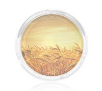 Cendrier rond en verre imprimé champ de blé 8,4 cm pour la maison, le bureau, accessoire de fumage, décoration intérieure et extérieure