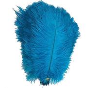Cenfry Lot de 10 plumes autruches 8-25,4 cm plumes de table de mariage pour décoration de la maison turquoise