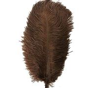 CENFRY Lot de 10 plumes d'autruche de 25,4 à 30,5 cm pour centre de table de mariage, décoration de la maison (marron)