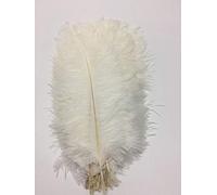 CENFRY Lot de 10 plumes d'autruche de 25,4 à 30,5 cm pour centre de table de mariage, décoration de la maison (Blanc)