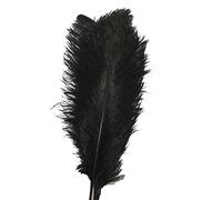 CENFRY Lot de 10 plumes d'autruche de 25,4 à 30,5 cm pour centre de table de mariage ou décoration de la maison (Noir)