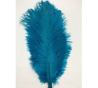 CENFRY Lot de 10 plumes d'autruche de 25,4 à 30,5 cm pour centre de table de mariage ou décoration de maison (turquoise)
