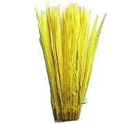 CENFRY Lot de 10 plumes de faisan naturelles blanchies teintées 30,5-35,6 cm (Jaune)