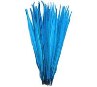 CENFRY Lot de 10 plumes naturelles blanchies teintées de 30,5 à 35,6 cm (turquoise)