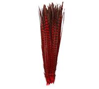 Cenfry Nature plumes de faisan Tails Costume Craft Décoration 12-35,6 cm Lot de 10 Rouge