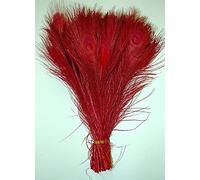 Cenfry plumes de paon Naturel avec œil Craft Décoration 10-30,5 cm Lot de 10 Rouge