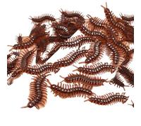 Cenifin Lot de 100 fautes artificielles de cafards flexibles pour Halloween Tricks Ornement et divertissement pour enfants Gadgets de fête
