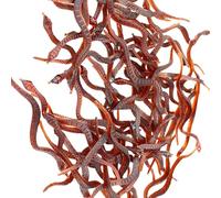 Cenifin Lot de 100 fautes artificielles de cafards flexibles pour Halloween Tricks Ornement et divertissement pour enfants Gadgets de fête