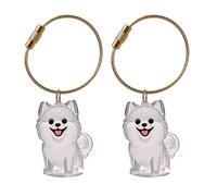 Cenifin Pet Hair Memorial Porte-clés pour chats et petits animaux de compagnie Collector Boîte de rangement Keyring Sac Charme Clear Fourrure de chien Boîte de journal de suivi