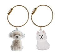 Cenifin Pet Hair Memorial Porte-clés pour chats et petits animaux de compagnie Collector Boîte de rangement Keyring Sac Charme Clear Fourrure de chien Boîte de journal de suivi