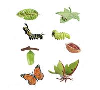 CENPEK 8 Pièces Modèle D'Ornement De Cycle De Vie De Papillon Modèles D'Insectes Simulés pour L'Éducation Préscolaire des Enfants