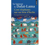 Cent éléphants sur un brin d'herbe