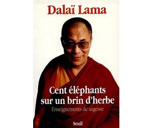 Cent Eléphants sur un brin d'herbe. Enseignements de sagesse