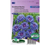 Centaurée à fleurs doubles Blue Boy - Graines De Fleurs Annuelles