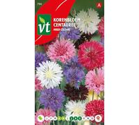Centaurée Mixed Colour Graines - Très facile à cultiver