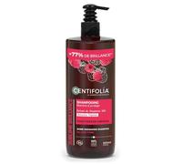 CENTIFOLIA - Shampoing Brillance Centifolia - 16ES5CEF55MOC