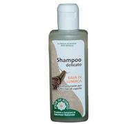 Centisia Shampoo à la Bave d'Escargot 200ml | Nourrissant et Régénérant | Avec Protéines de Soie, Extraits d'Olivier et Camomille, Panthénol | Pour Cheveux Fragiles, Abîmés et Teints