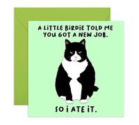 Central 23 - Carte amusante pour nouveau travail - « A Little Birdie... New Job » - Carte de félicitations pour elle - Livrée avec des autocollants amusants