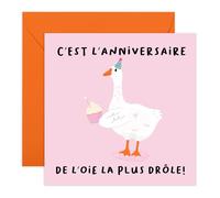 Central 23 Carte Anniversaire Fille Hilarante Silliest Goose Bestie Amie Sœur Petite Amie Collègue Silly Stickers
