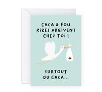 Central 23 Carte Baby Shower Drôle Grossesse Félicitations Amis Parents Stork Oiseau Sh*ts Giggles Stickers