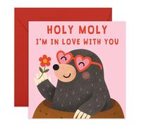 Central 23 Carte d'amour amusante - « Holy Moly I'm In Love With You » - Jeu de mots d'animaux mignons - Pour femme, mari, petit ami, petite amie, partenaire, fiancé - Saint-Valentin ou anniversaire