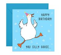 CENTRAL 23 Carte d'anniversaire amusante pour homme et femme - You Silly Goose - Cartes d'anniversaire pour petit ami, petite amie, amis - Carte d'anniversaire pour mari et femme