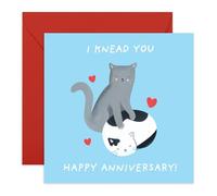 Central 23 Carte d'anniversaire de mariage pour mari - I Knead You - Chat Pun - Cartes d'anniversaire pour petit ami - Cadeau mignon pour couple, partenaire, fiancé - Livré avec des autocollants
