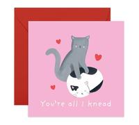 Central 23 Carte d'anniversaire pour lui - You're All I Knead Cats - Pun - Jolie carte d'anniversaire de mariage pour mari, femme - Carte de Saint-Valentin - Cadeau pour petit ami ou petite amie -