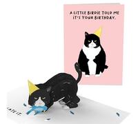 Central 23 Carte Pop Up 3D pour femme et homme - « A Little Birdie Told Me It's Your Birthday » - Pop-Up Carte de voeux pour les amoureux des chats - Carte anniversaire drole de chat
