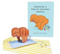 Central 23 Carte Pop Up Chien - Squeezing Massive Surprise - 3D Carte Cadeau Pour Les Amoureux Des Chiens - Pour Femme Et Homme Humour - Livrée Avec Des Autocollants