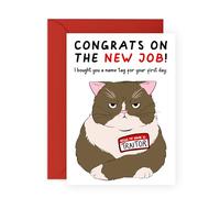 CENTRAL 23 Cartes de départ pour collègue pour homme et femme - Traître chat - Cartes d'adieu amusantes pour collègue - Cadeaux de nouvel emploi pour patron employé officier - Livrées avec des