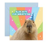 Central 23 Geburtstagskarte Für Männer Frauen Capybara Party Hut Freund Mutter Schwester Tante Nichte Aufkleber Von