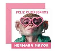 Central 23 Hermana Mayor Tarjeta Cumpleaños Mono Graciosa Divertida Mujer Chica Viene Con Pegatinas Regalo Cumpleaños Lindo Regalo Por
